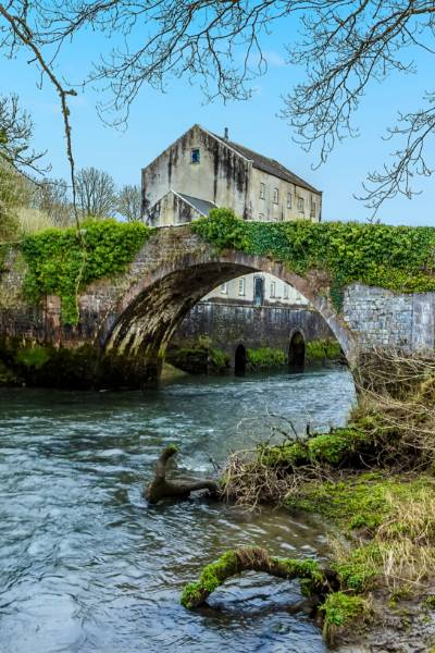 a moss covered bridge over a stream with a house in the distance